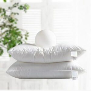Premium European Topper And European Pillow